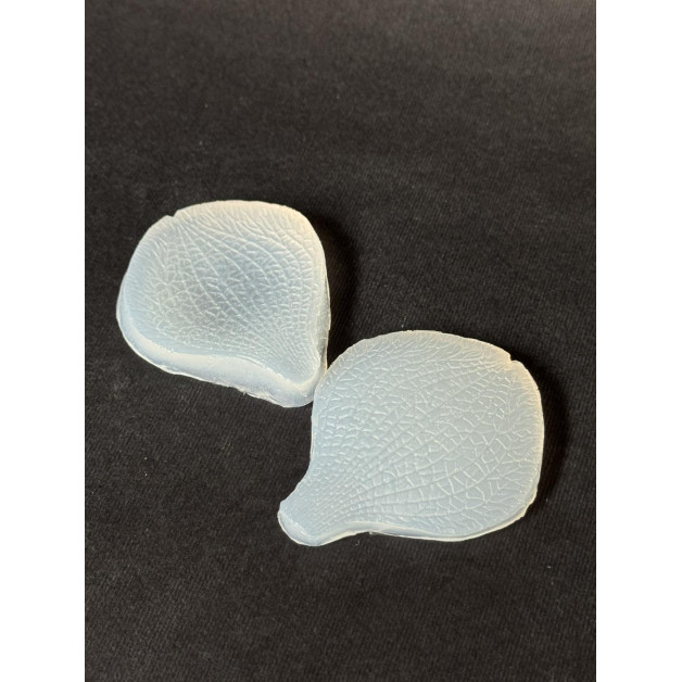 вайнер орхідея ванда 2