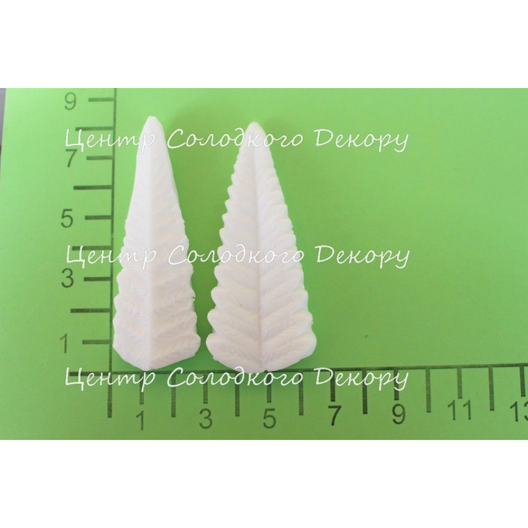 вайнер папороті листок широкий