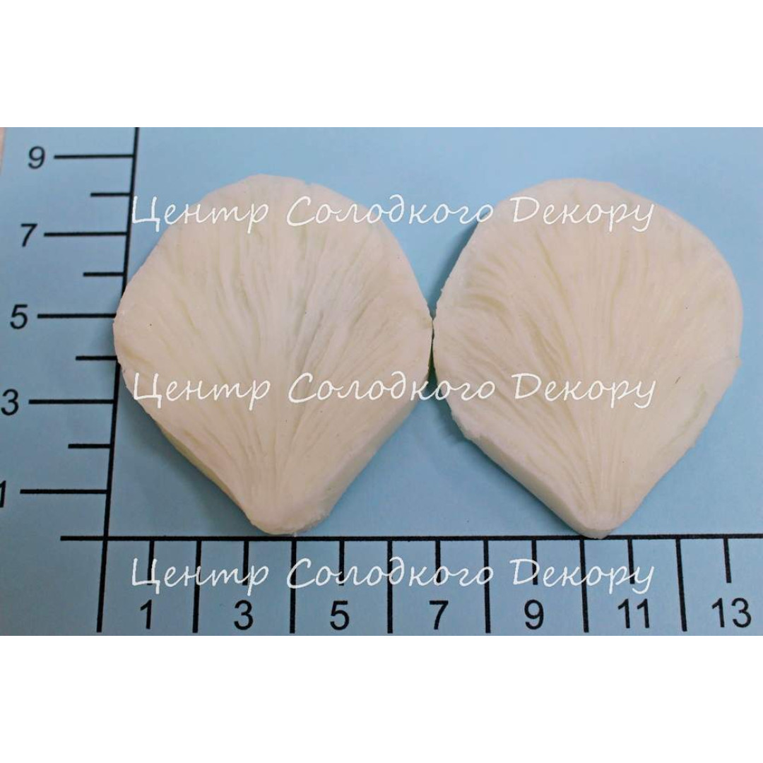 вайнер піон листок центральний