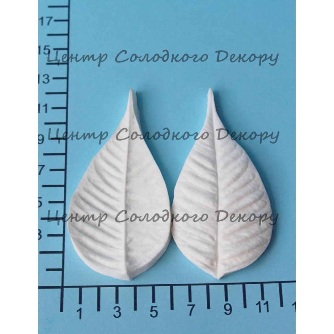 вайнер пуансетія 2 велика