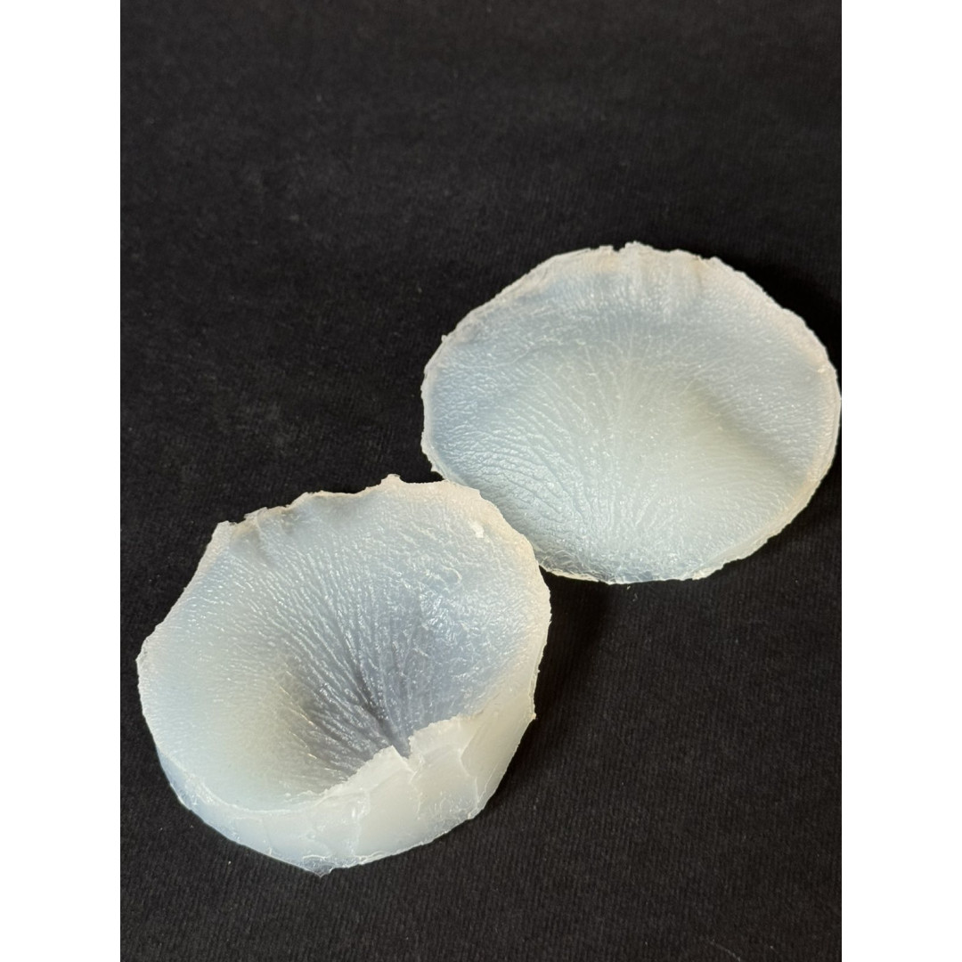 вайнер троянда пелюстка 2 середня