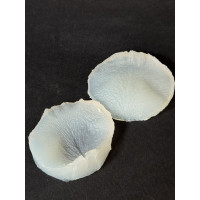 вайнер троянда пелюстка 2 середня