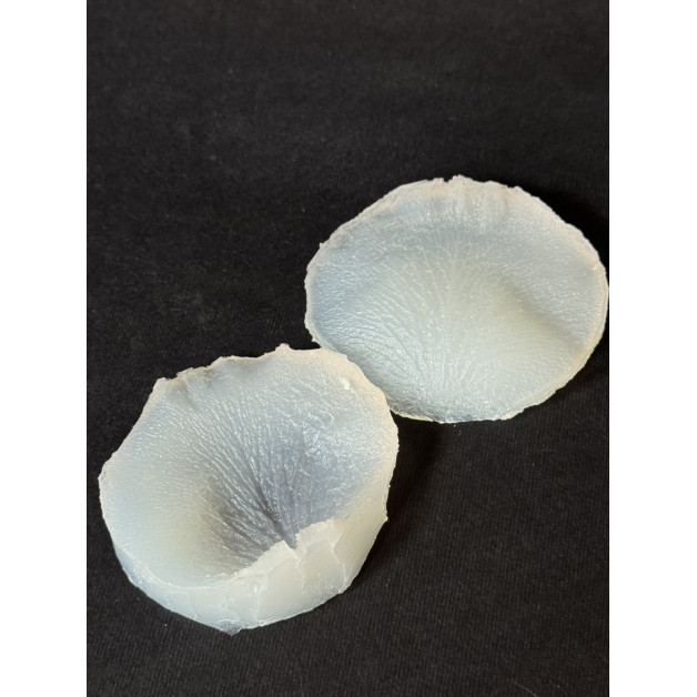 вайнер троянда пелюстка 2 середня