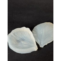 вайнер тюльпан 4 пелюстка