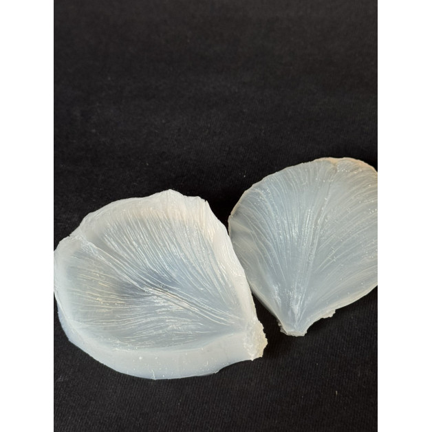 вайнер тюльпан 4 пелюстка