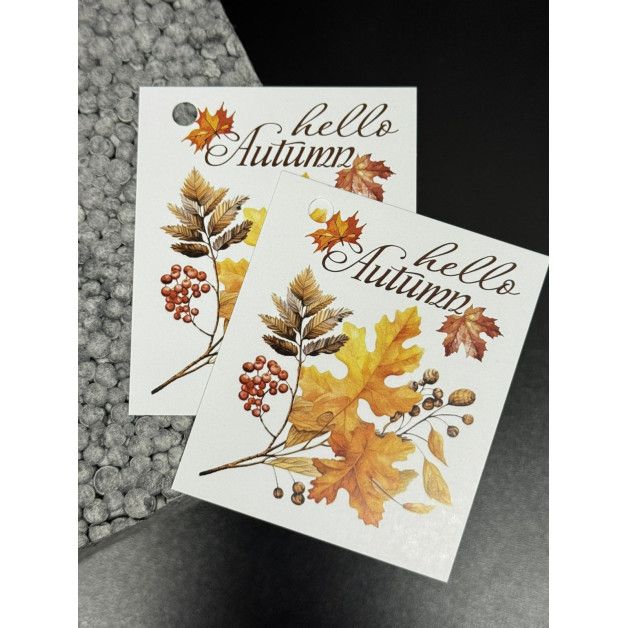 Бірка НР 10 шт, 5*4,5 см; 4,5*7 см; 5*7 см.№17