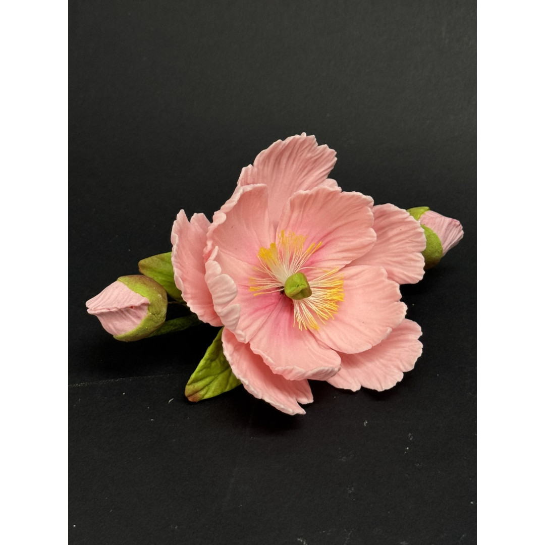 Піон Д90мм з бутонами (сладо) Уточняйте колір в кометарях.