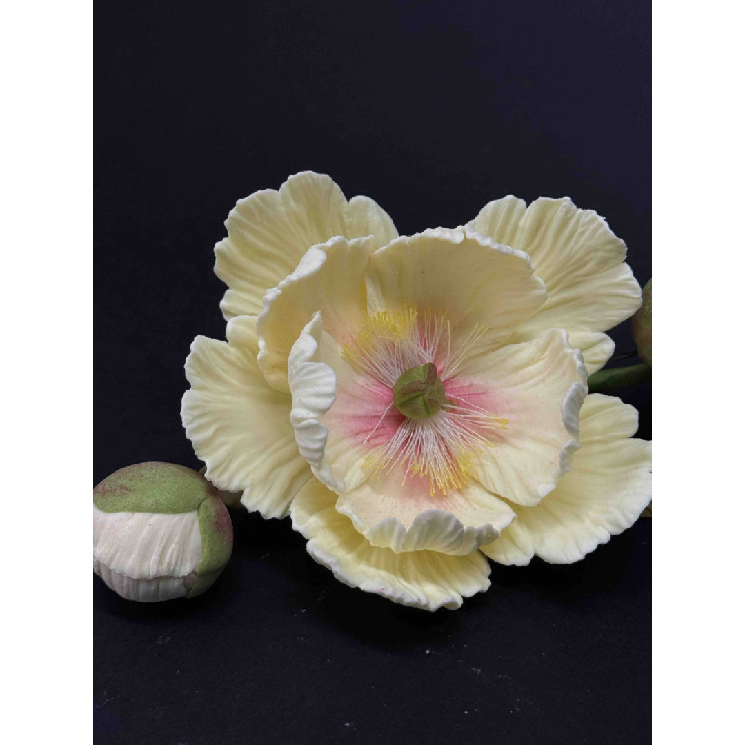 Піон Д90мм з бутонами (сладо) Уточняйте колір в кометарях.