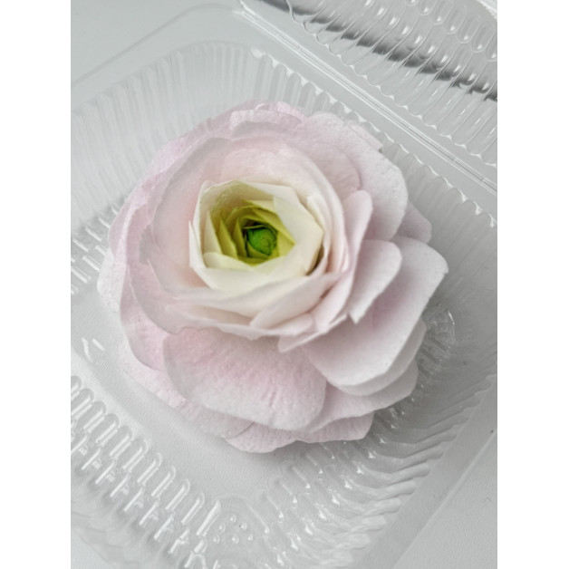 Вафельний ранункулюс салатово-рожевий 1 шт (мальований)