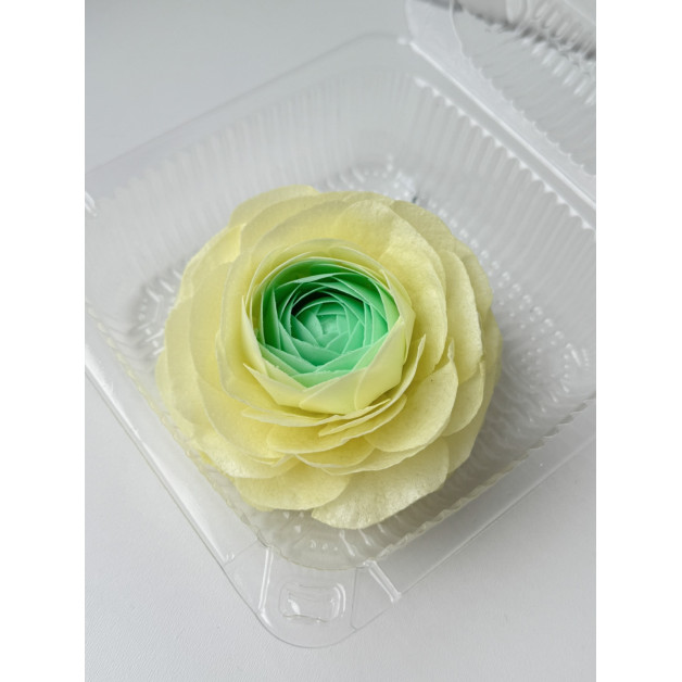 Вафельний ранункулюс салатово-жовтий 1 шт