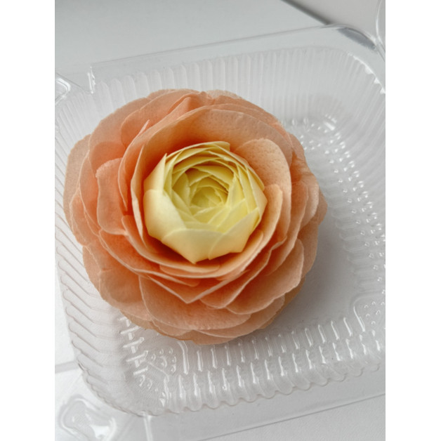 Вафельний ранункулюс жовто-персиковий 1 шт