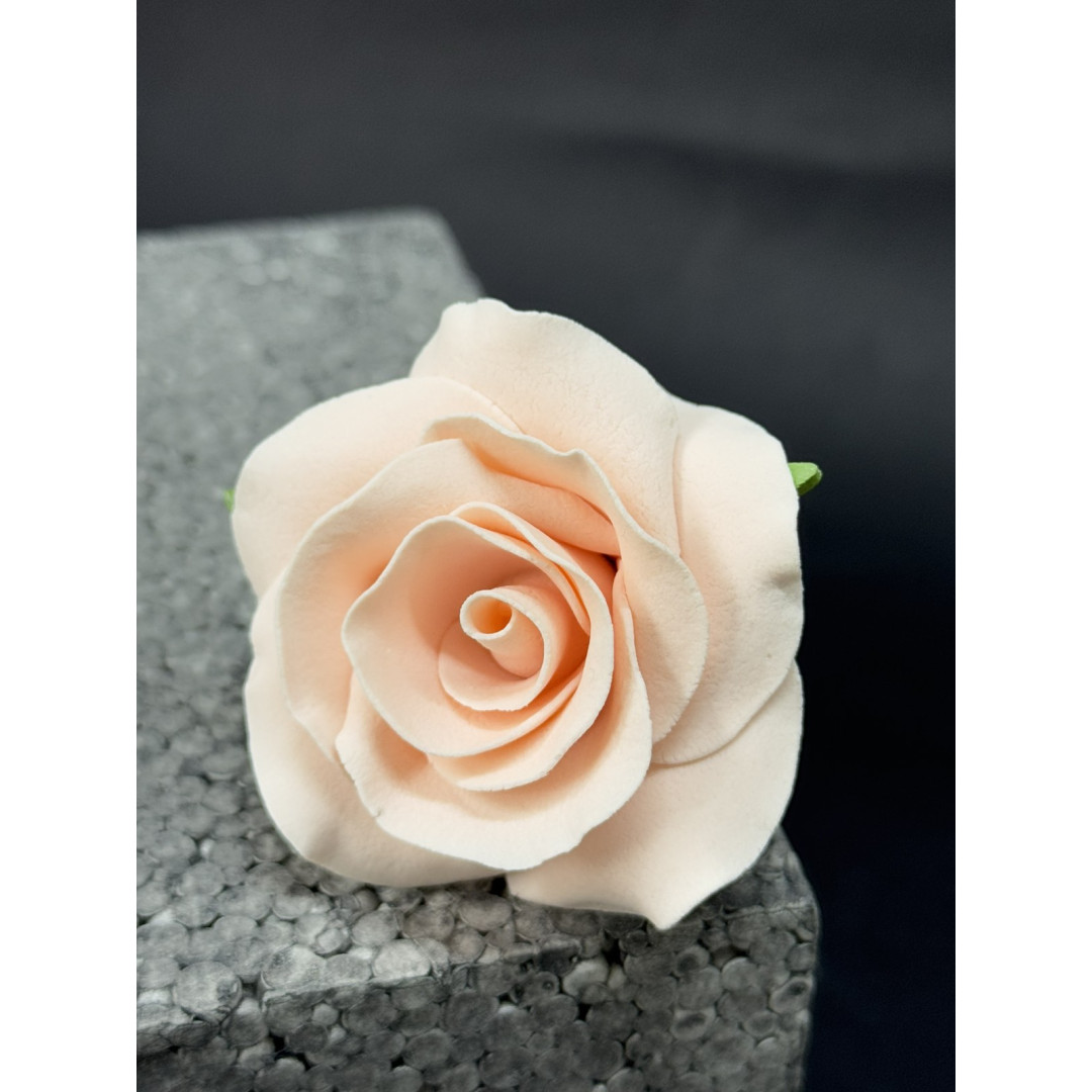 Троянда №2 персикова