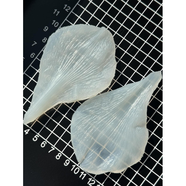 вайнер амариліс пелюстка 2 велика