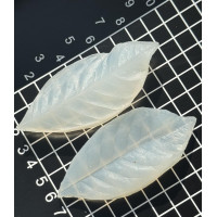 вайнер гарденії листок