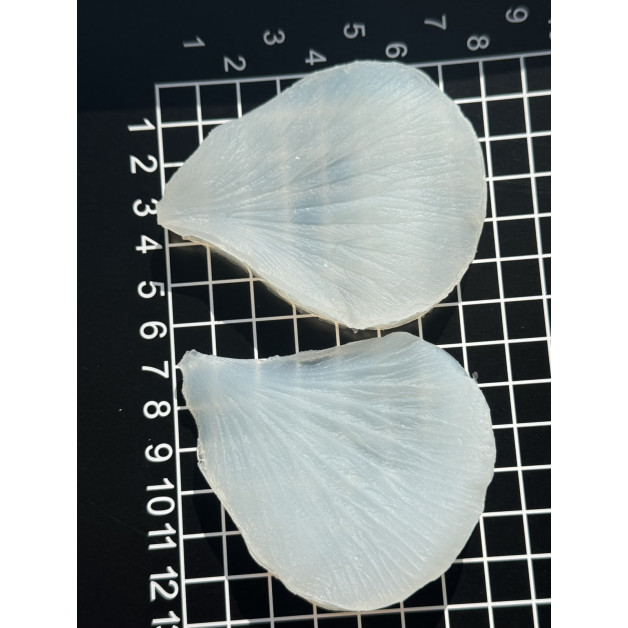 вайнер гібіскус 1 пелюстка