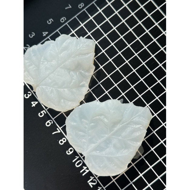 вайнер гібіскус листок великий