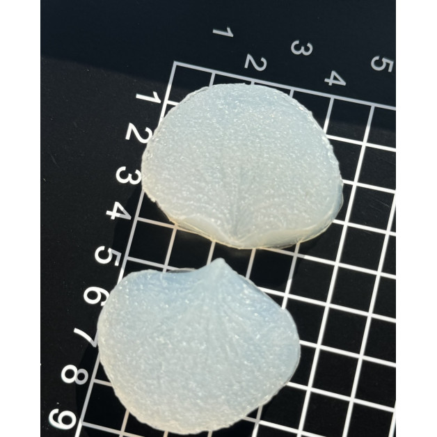 вайнер гортензії пелюстка 2