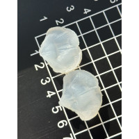 вайнер гортензії пелюстка