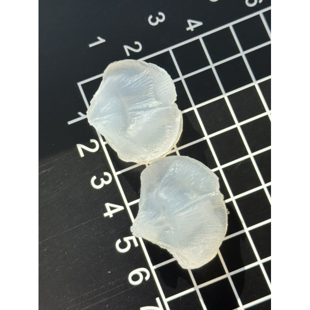 вайнер гортензії пелюстка