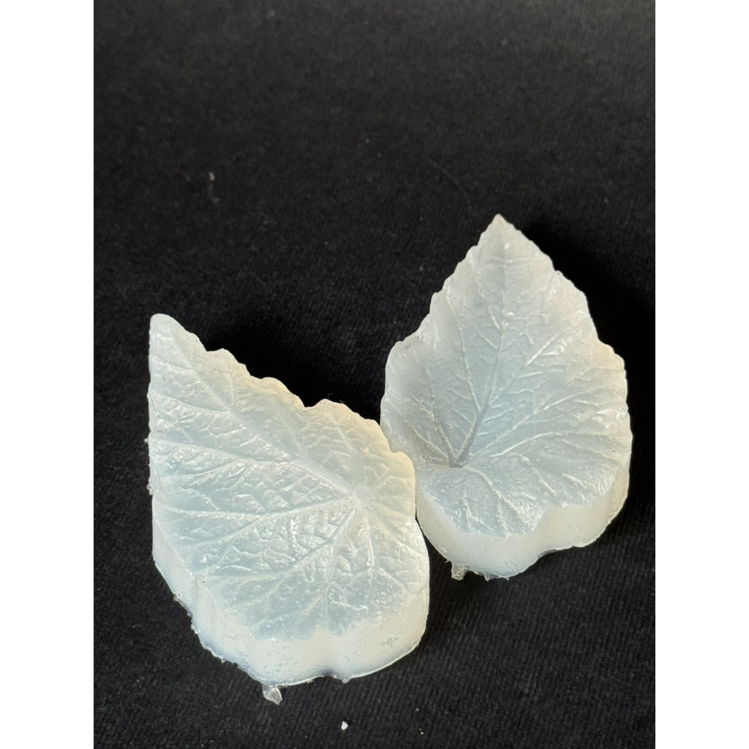 вайнер листок бегонії великий