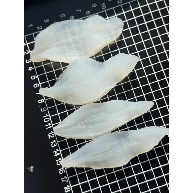 вайнер лілія касабланка пелюстка