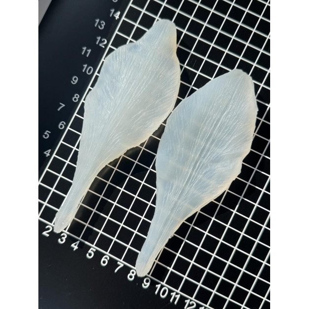 вайнер лілія регал пелюстка