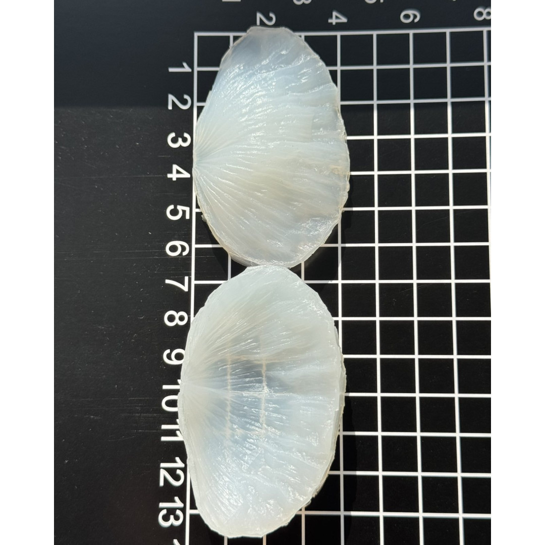 вайнер мак пелюстка 2