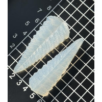 вайнер папороті листок широкий