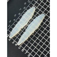 вайнер папороті листок вузький