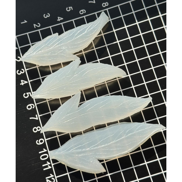 вайнер піон листок боковий 2-х