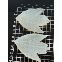 вайнер піон листок центральний