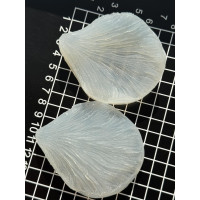 вайнер піон пелюстка