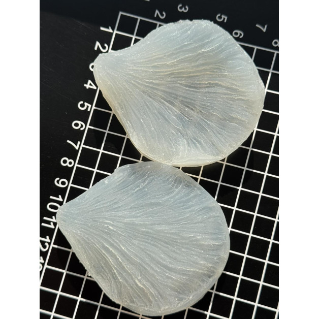 вайнер піон пелюстка