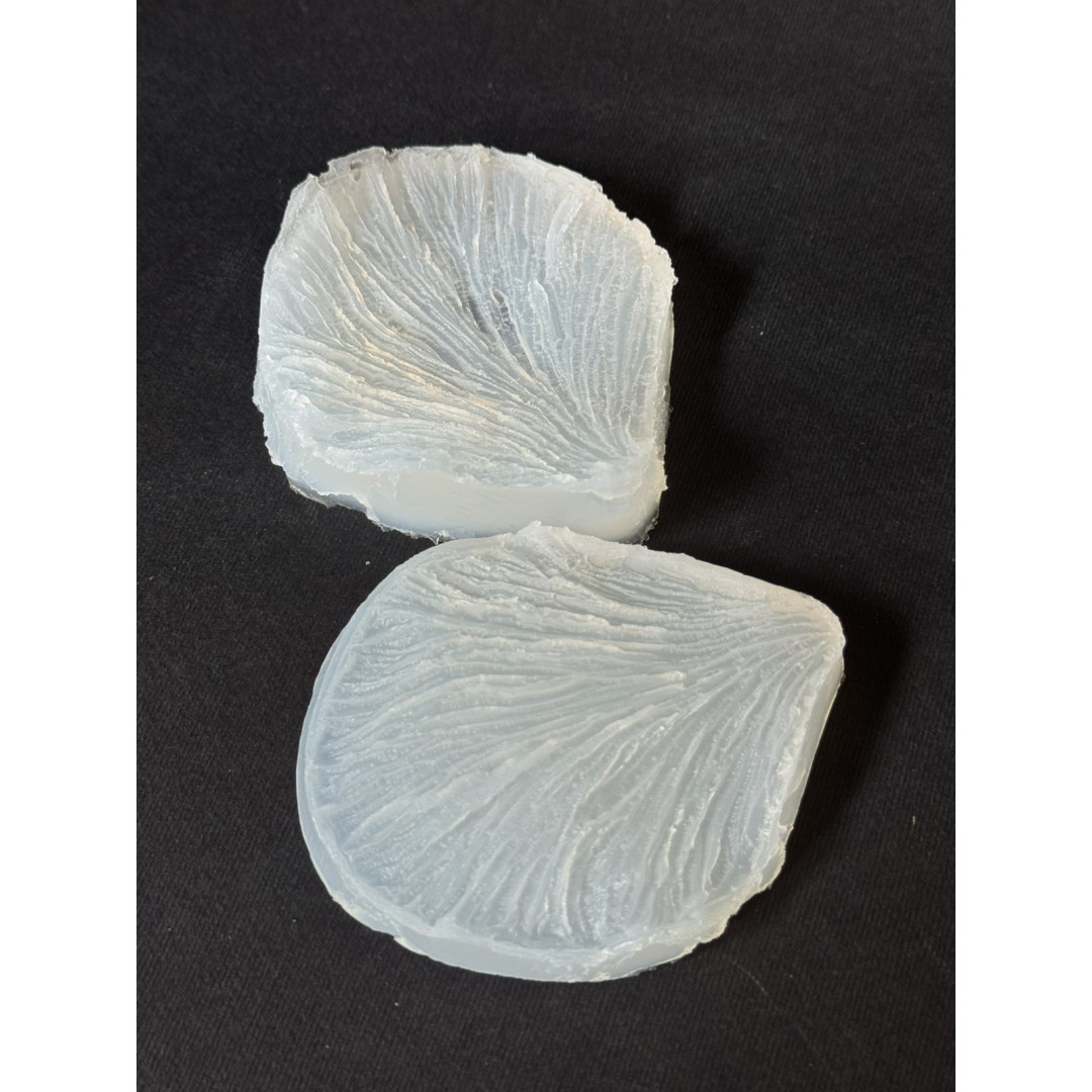 вайнер піон пелюстка