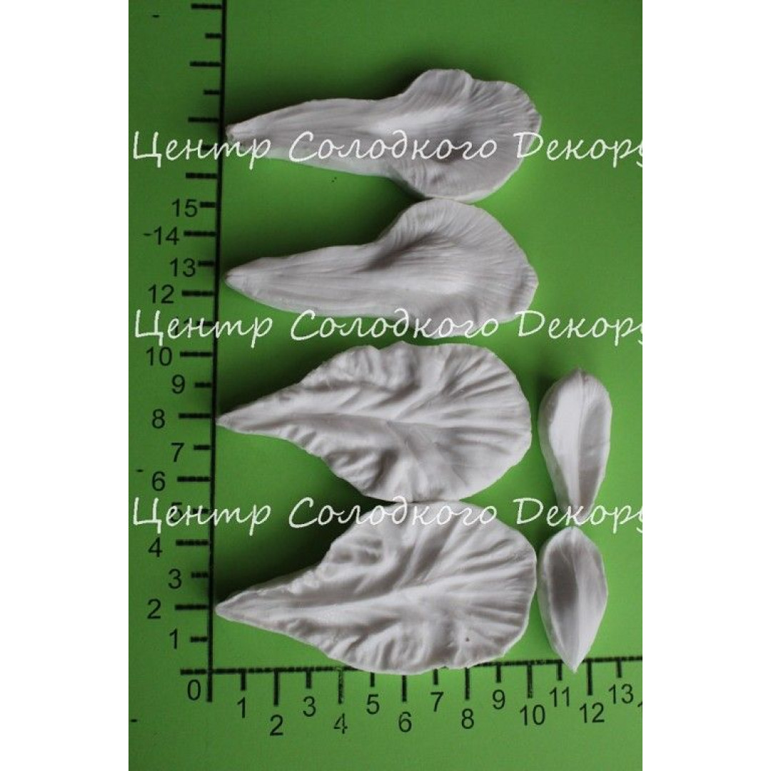 вайнер ірис пелюстки