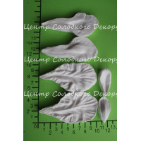 вайнер ірис пелюстки