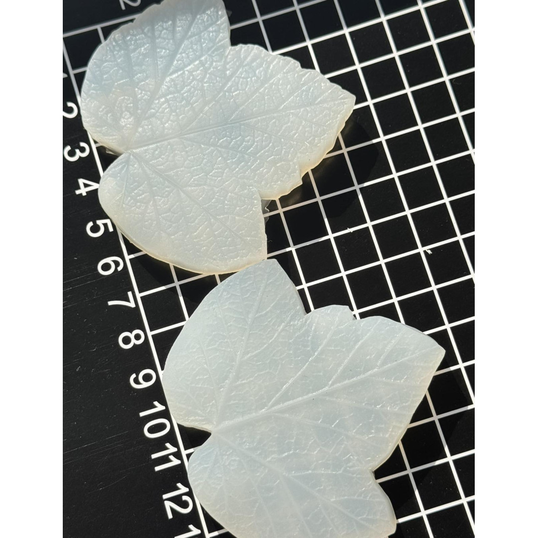 вайнер смородини листок