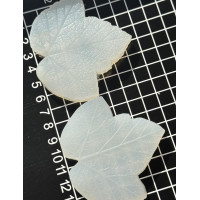 вайнер смородини листок