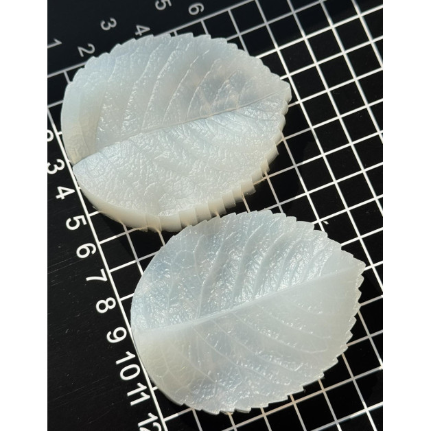 вайнер троянда листок 4