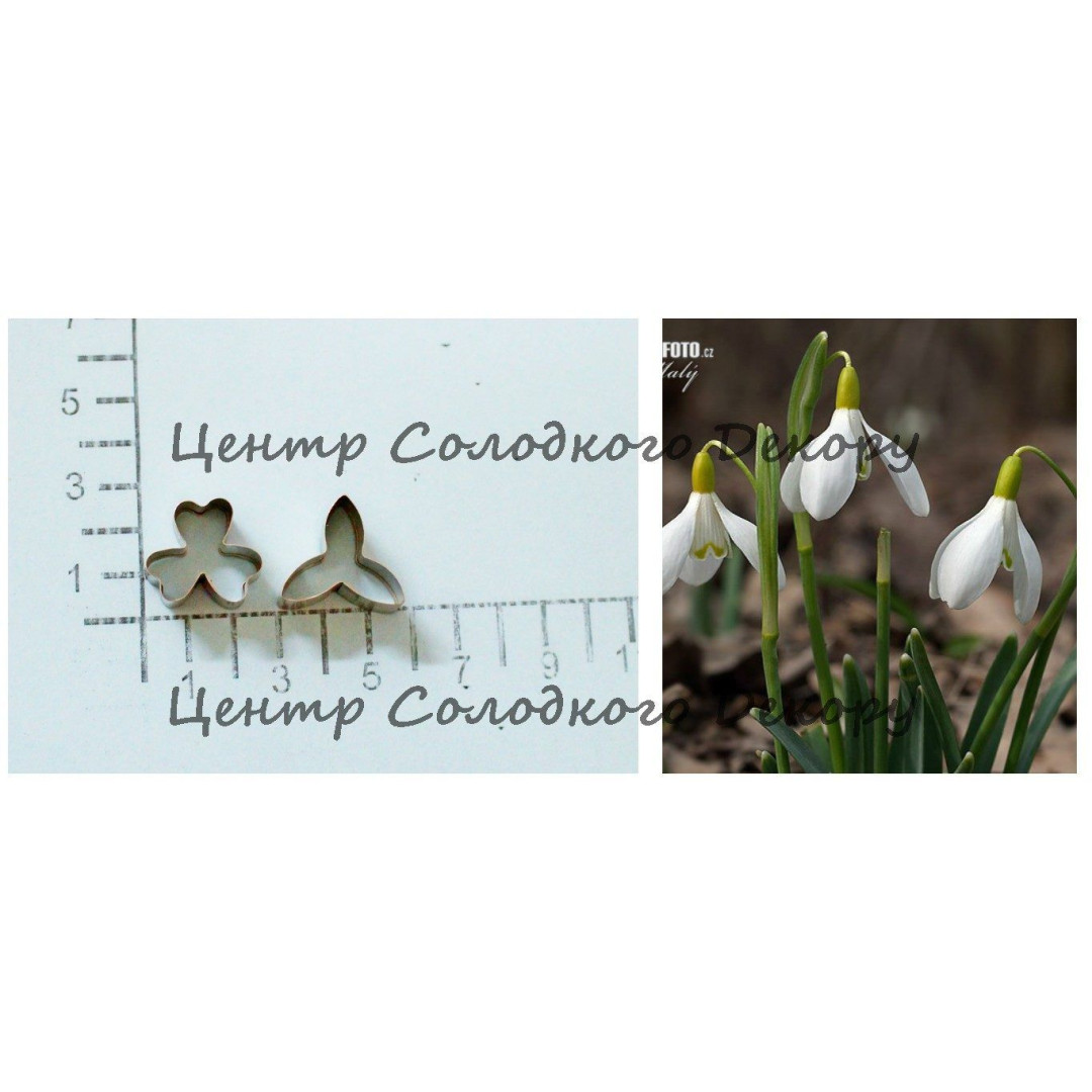 Вирубка метал підсніжник пелюстки