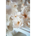 Цукрові квіти