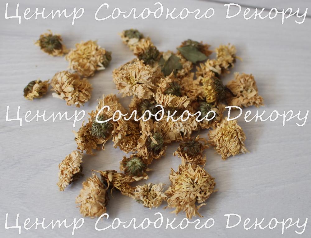 картинка Сухоцвіт хризантеми 15 грам для декору десертів. от магазина Центр Солодкого Декору